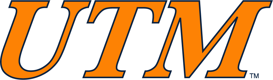Tennessee-Martin Skyhawks 2007-2017 Wordmark Logo t shirts iron on transfers